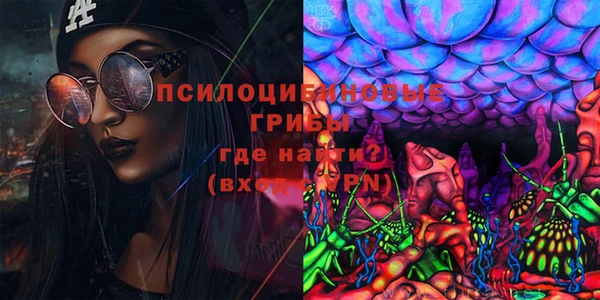 ГАЛЛЮЦИНОГЕННЫЕ ГРИБЫ Волоколамск