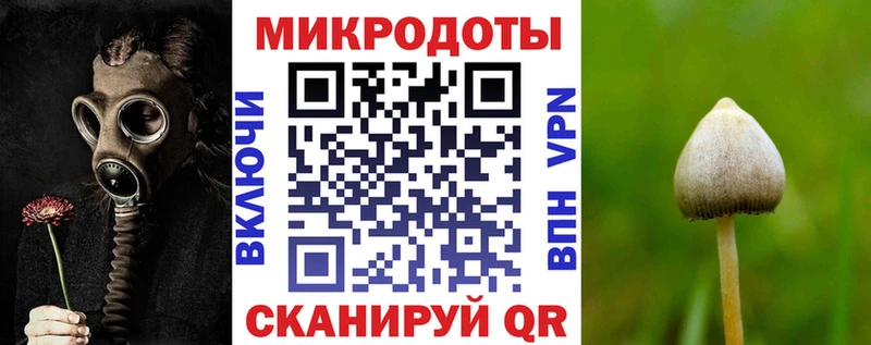 мориарти телеграм  Гагарин  Псилоцибиновые грибы Magic Shrooms 