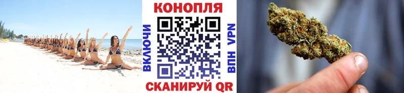 Бошки Шишки Ganja  закладка  Гагарин 